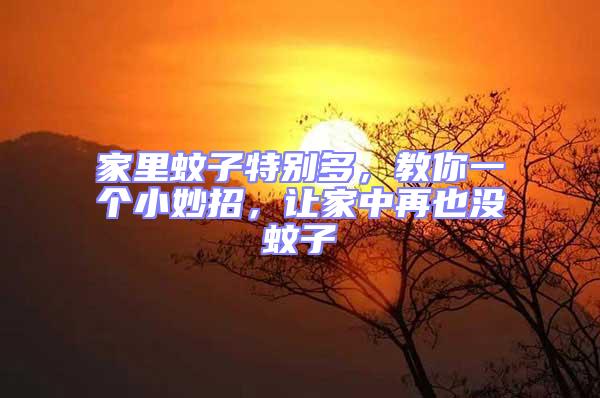 家里蚊子特別多，教你一個小妙招，讓家中再也沒蚊子