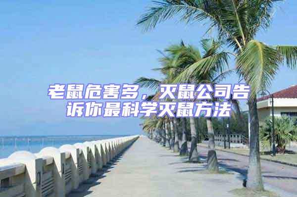 老鼠危害多，滅鼠公司告訴你最科學(xué)滅鼠方法