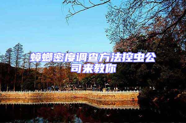 蟑螂密度調(diào)查方法控蟲(chóng)公司來(lái)教你