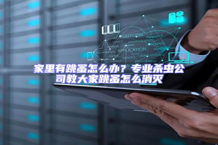 家里有跳蚤怎么辦？專業(yè)殺蟲公司教大家跳蚤怎么消滅