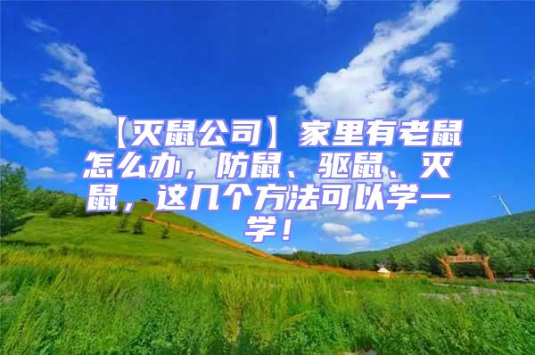 【滅鼠公司】家里有老鼠怎么辦，防鼠、驅(qū)鼠、滅鼠，這幾個方法可以學(xué)一學(xué)！