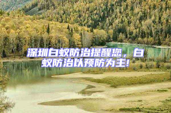 深圳白蟻防治提醒您，白蟻防治以預防為主!