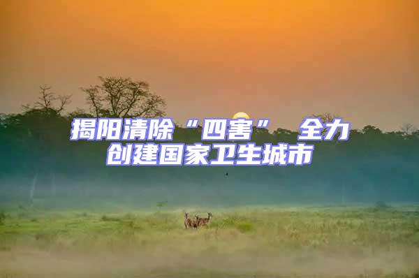 揭陽清除“四害” 全力創(chuàng)建國家衛(wèi)生城市