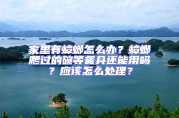 家里有蟑螂怎么辦？蟑螂爬過的碗等餐具還能用嗎？應該怎么處理？