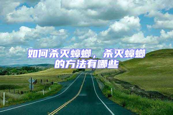 如何殺滅蟑螂，殺滅蟑螂的方法有哪些