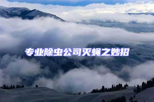 專業(yè)除蟲公司滅蠅之妙招