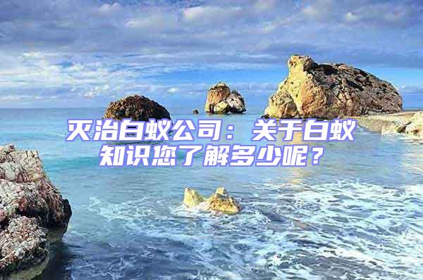 滅治白蟻公司：關于白蟻知識您了解多少呢？