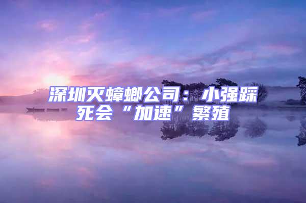 深圳滅蟑螂公司：小強(qiáng)踩死會(huì)“加速”繁殖