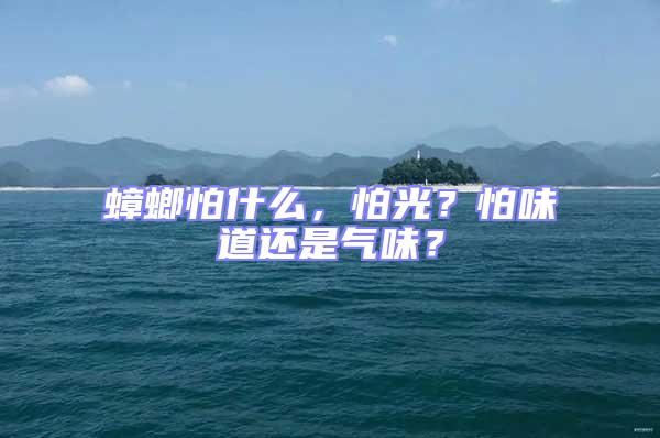 蟑螂怕什么，怕光？怕味道還是氣味？