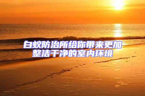 白蟻防治所給你帶來更加整潔干凈的室內環境