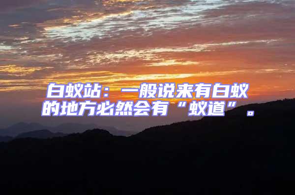 白蟻站：一般說來有白蟻的地方必然會有“蟻道”。