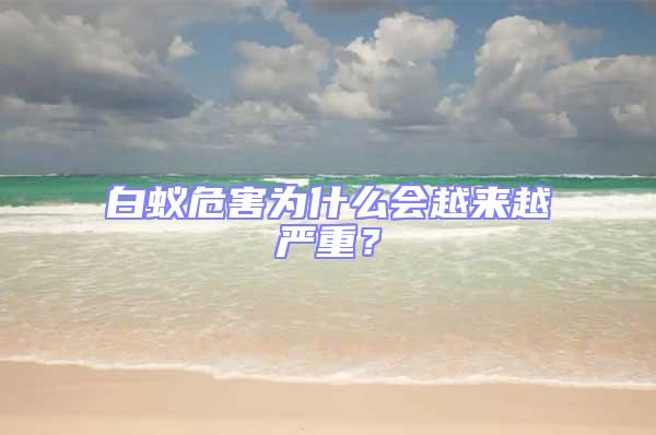 白蟻危害為什么會(huì)越來(lái)越嚴(yán)重？