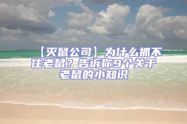 【滅鼠公司】為什么抓不住老鼠？告訴你9個關于老鼠的小知識