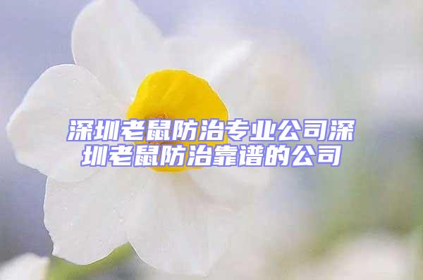 深圳老鼠防治專業公司深圳老鼠防治靠譜的公司