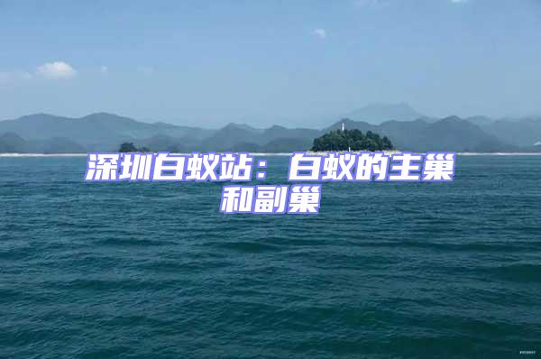 深圳白蟻站：白蟻的主巢和副巢