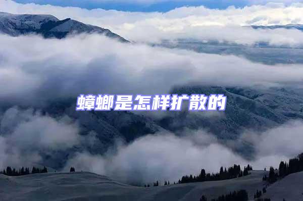 蟑螂是怎樣擴(kuò)散的