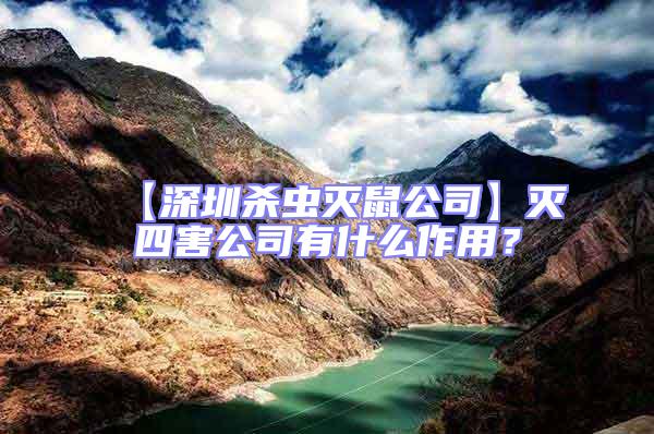 【深圳殺蟲滅鼠公司】滅四害公司有什么作用？