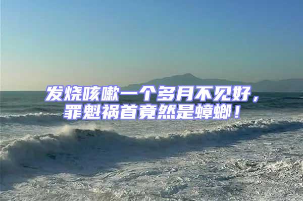 發(fā)燒咳嗽一個(gè)多月不見好，罪魁禍?zhǔn)拙谷皇求耄?/></p>
									<p style=