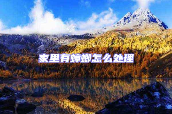 家里有蟑螂怎么處理