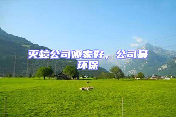 滅蟑公司哪家好，公司最環(huán)保