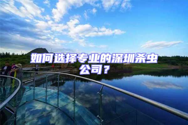 如何選擇專業(yè)的深圳殺蟲公司？