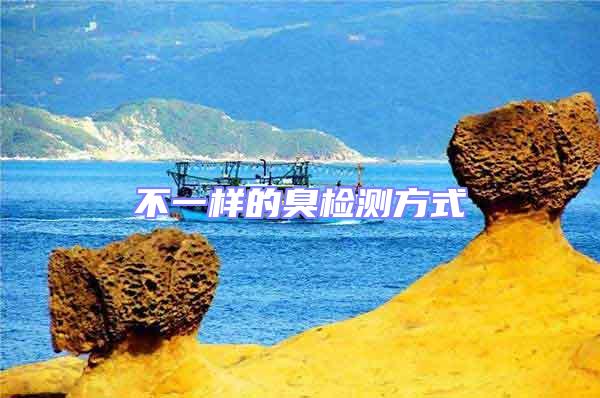 不一樣的臭檢測方式