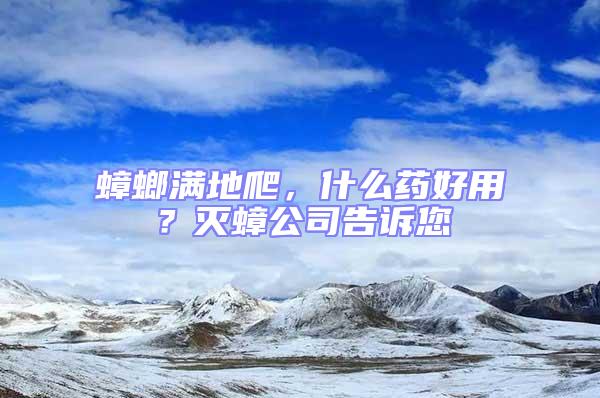 蟑螂滿地爬，什么藥好用？滅蟑公司告訴您