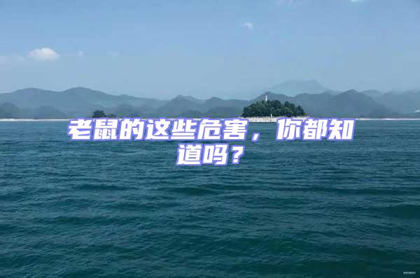 老鼠的這些危害，你都知道嗎？