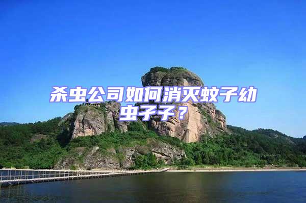 殺蟲公司如何消滅蚊子幼蟲孑孓？