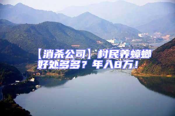 【消殺公司】村民養(yǎng)蟑螂好處多多？年入8萬！