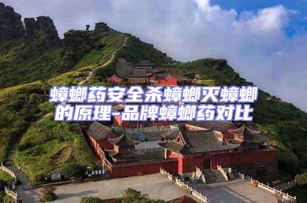 蟑螂藥安全殺蟑螂滅蟑螂的原理-品牌蟑螂藥對比