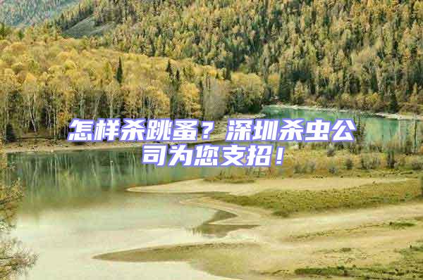 怎樣殺跳蚤？深圳殺蟲公司為您支招！