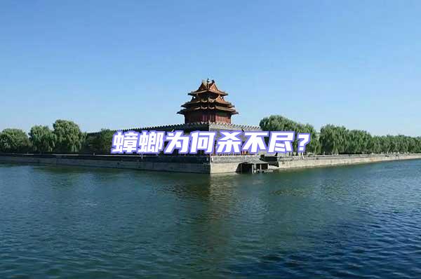 蟑螂為何殺不盡？