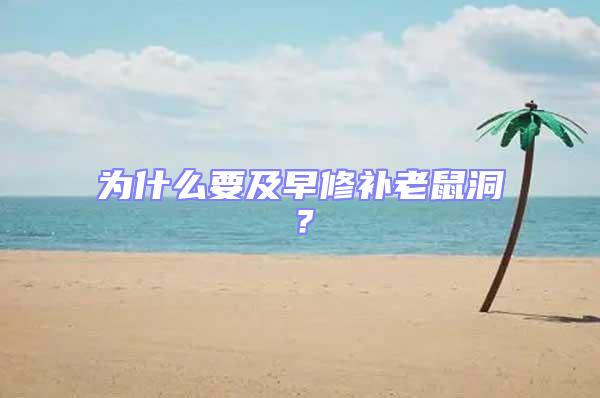 為什么要及早修補(bǔ)老鼠洞？