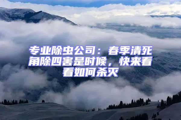 專(zhuān)業(yè)除蟲(chóng)公司：春季清死角除四害是時(shí)候，快來(lái)看看如何殺滅