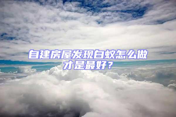 自建房屋發(fā)現(xiàn)白蟻怎么做才是最好？