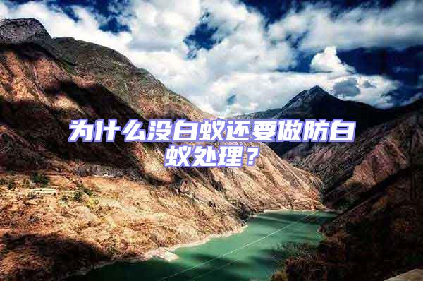 為什么沒白蟻還要做防白蟻處理？