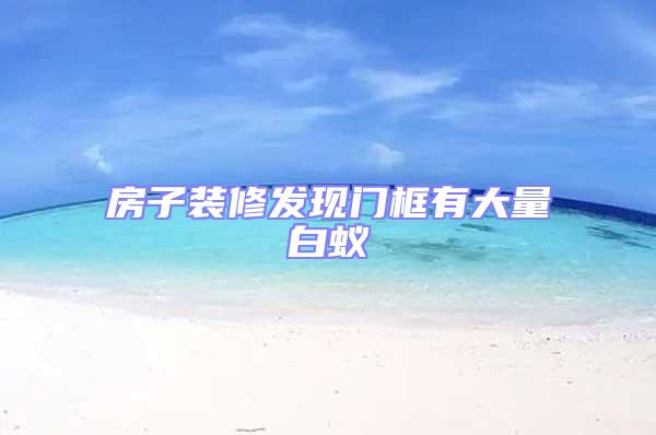 房子裝修發(fā)現(xiàn)門框有大量白蟻