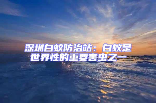 深圳白蟻防治站：白蟻是世界性的重要害蟲之一