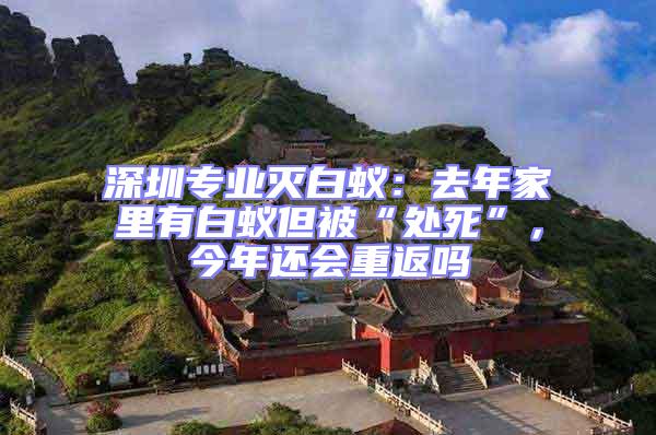 深圳專業滅白蟻：去年家里有白蟻但被“處死”，今年還會重返嗎