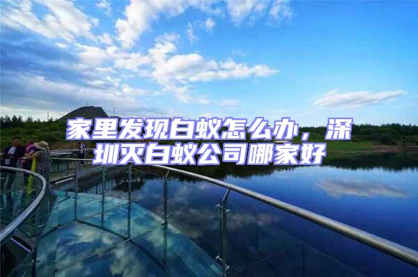 家里發現白蟻怎么辦，深圳滅白蟻公司哪家好