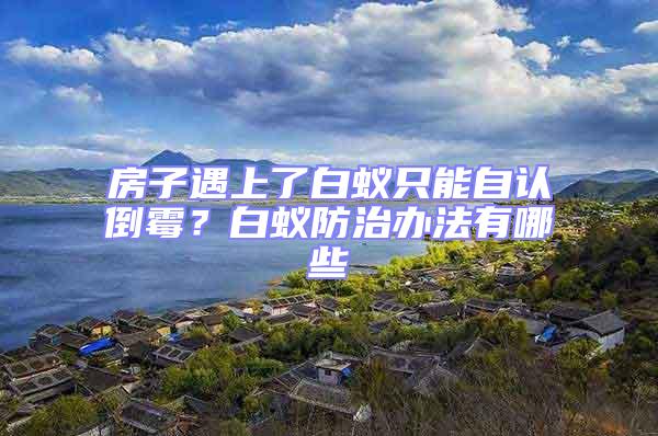 房子遇上了白蟻只能自認倒霉？白蟻防治辦法有哪些