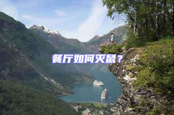 餐廳如何滅鼠？