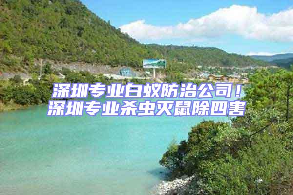 深圳專業(yè)白蟻防治公司！深圳專業(yè)殺蟲滅鼠除四害