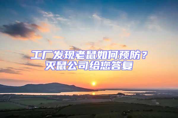 工廠發現老鼠如何預防？滅鼠公司給您答復