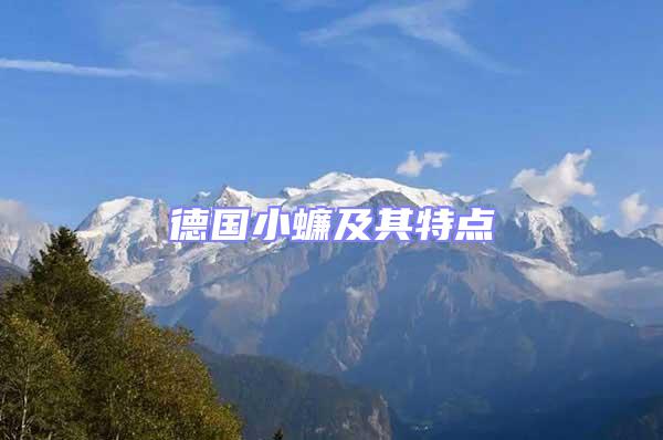 德國小蠊及其特點(diǎn)