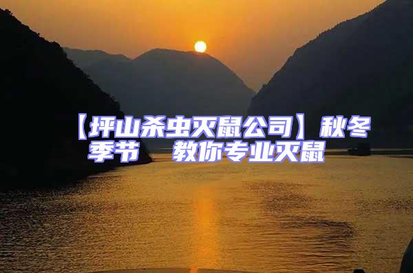 【坪山殺蟲滅鼠公司】秋冬季節  教你專業滅鼠