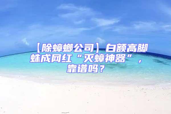 【除蟑螂公司】白額高腳蛛成網(wǎng)紅“滅蟑神器”，靠譜嗎？
