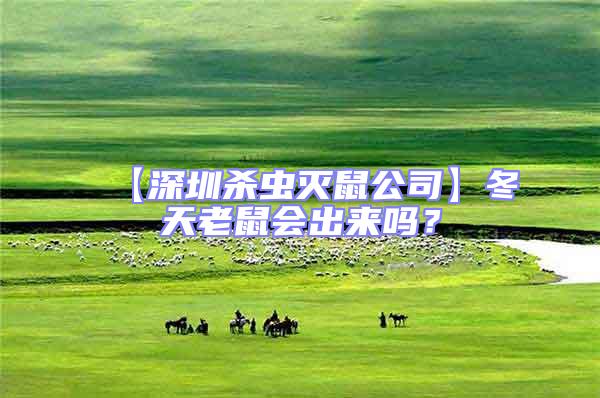 【深圳殺蟲滅鼠公司】冬天老鼠會出來嗎？