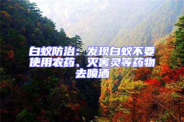 白蟻防治：發(fā)現(xiàn)白蟻不要使用農(nóng)藥、滅害靈等藥物去噴灑